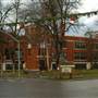 Whitefish