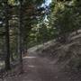 Mount Helena