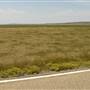 Highway 223- Fort Benton
