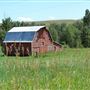 Bench Ranch (Torgrimson Place)