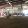 Millers Horse Palace