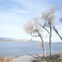 Dailey Lake