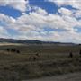 Fleecer Mountain Road