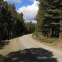 Fleecer Mountain Road