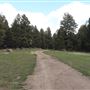 Fleecer Mountain Road