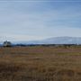 Cooney Ranch : 2025