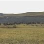 Blackfeet Indian Reservation
