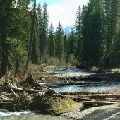Ross Creek