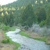 Silverbow Creek