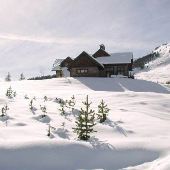 Zonay House