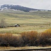 Roadside Ranch