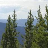 Moose Creek Road