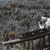Austin Trestle