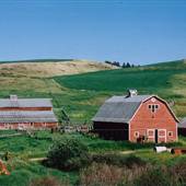 Lewistown Farms [archival]