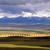 Montana Scenics
