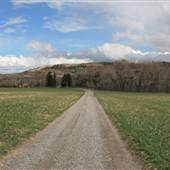 Whistle Creek Ranch