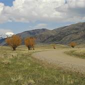 Daily Lake Road