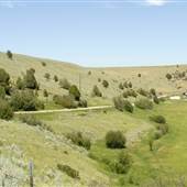 Gallatin River Road