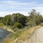 Old Stage Road
