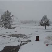 Nine Quarter Circle Ranch