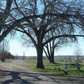 Fort Peck Lake (Roundhouse Point Camping Area)