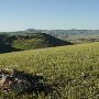 Pryor Mountains