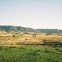 Double Spear Ranch