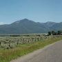 Henry's Lake Road
