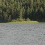 Salmon Lake