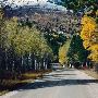 Fall Colors
