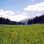 Battle Ridge Campground