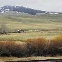 Roadside Ranch