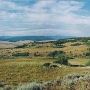Mule Ranch