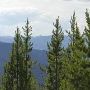 Moose Creek Road