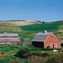 Lewistown Farms [archival]