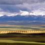 Montana Scenics