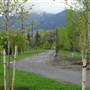 Burke Park