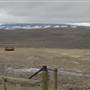 Higgins Ranch