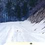Hyalite Canyon Road [Snow]