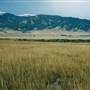 Madison Range