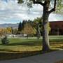 Montana State University