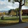 Montana State University