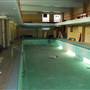 Montana State University Pools