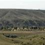 Morony Dam Road