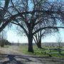 Fort Peck Lake (Roundhouse Point Camping Area)