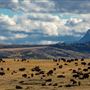 Blackfeet Indian Reservation