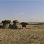 Blackfeet Indian Reservation