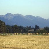 Swan Mountains:  Flathead Valley