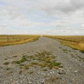 Seven Mile Road