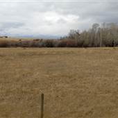 Elk Creek Road